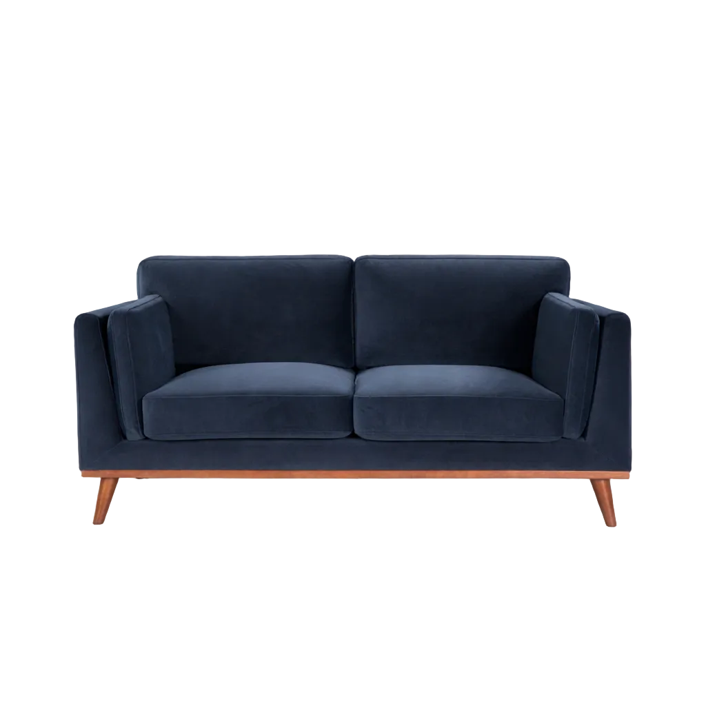 Mickey 2 Seat Velvet Sofa